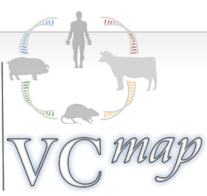 VCMap