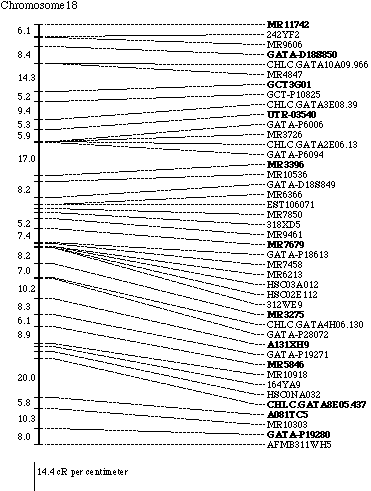 Chromosome 18 map