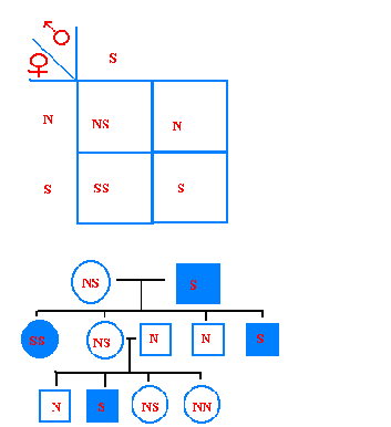 Linked limits