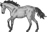 Go to Links to All Horses Gene Mapping Sites